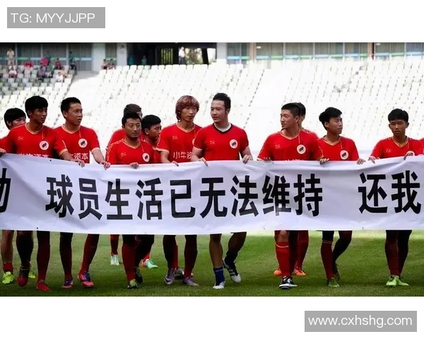 益阳足球明星最新名单揭晓球迷热议新星崛起与老将回归