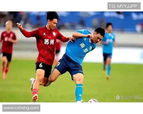 南京羽毛球队在钻石联赛积分榜上以69分稳居第一名展现强劲实力